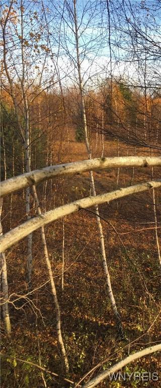 V/L Coleman Rd, Somerset, NY 14012 - photo 15