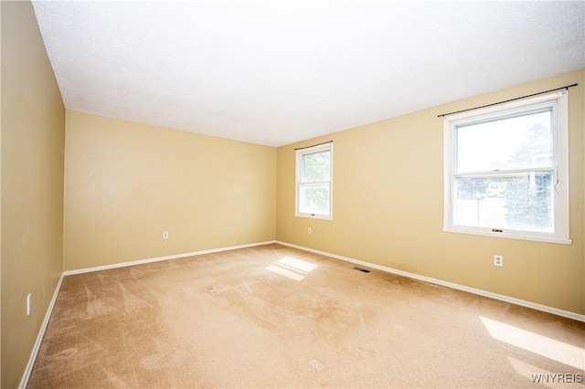 6828 Minuteman, Evans, NY 14047 - photo 19
