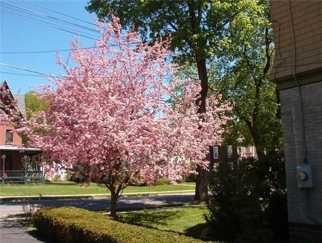 50 Center St, Oneonta, NY 13820 - photo 8