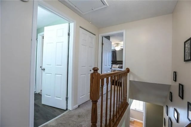 3221 Pintail, Macedon, NY 14568 - photo 12