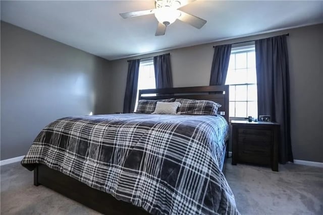 3221 Pintail, Macedon, NY 14568 - photo 13