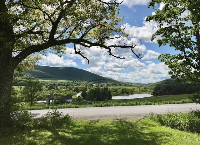 221 S Gilboa Rd, Gilboa, NY 12167 - photo 48
