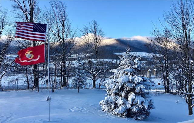 221 S Gilboa Rd, Gilboa, NY 12167 - photo 50