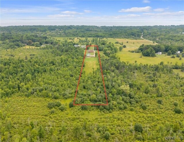 1159 Sturgeon Point Rd, Evans, NY 14047 - photo 50