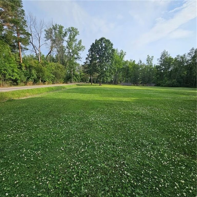 1992 Center Rd, Carlton, NY 14411 - photo 39