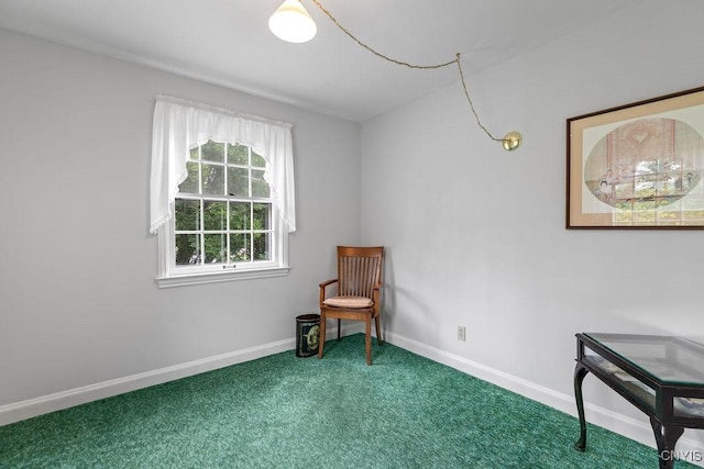 104 Hillsboro Pkwy, Syracuse, NY 13214 - photo 24