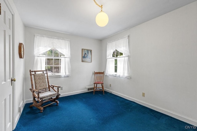 104 Hillsboro Pkwy, Syracuse, NY 13214 - photo 30