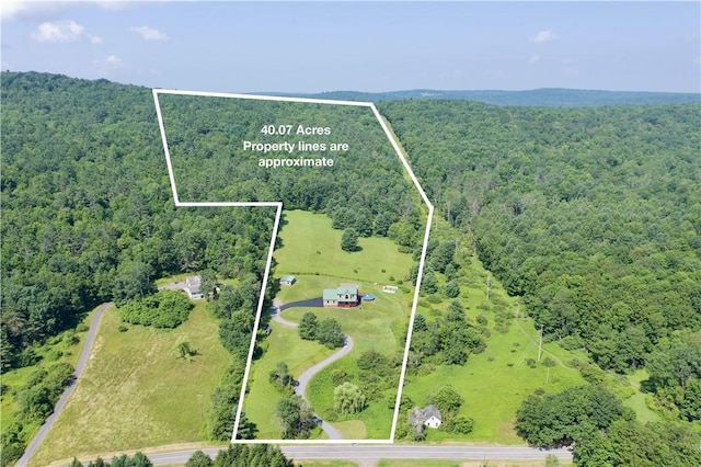 135 Gifford Hill Rd, Oneonta, NY 13820 - photo 2