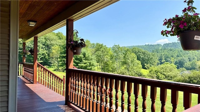 135 Gifford Hill Rd, Oneonta, NY 13820 - photo 35
