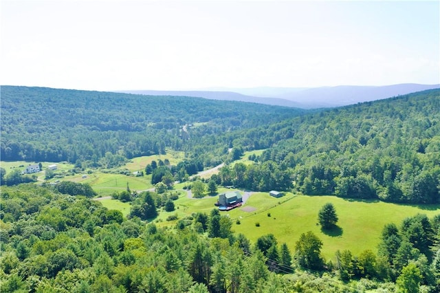 135 Gifford Hill Rd, Oneonta, NY 13820 - photo 42