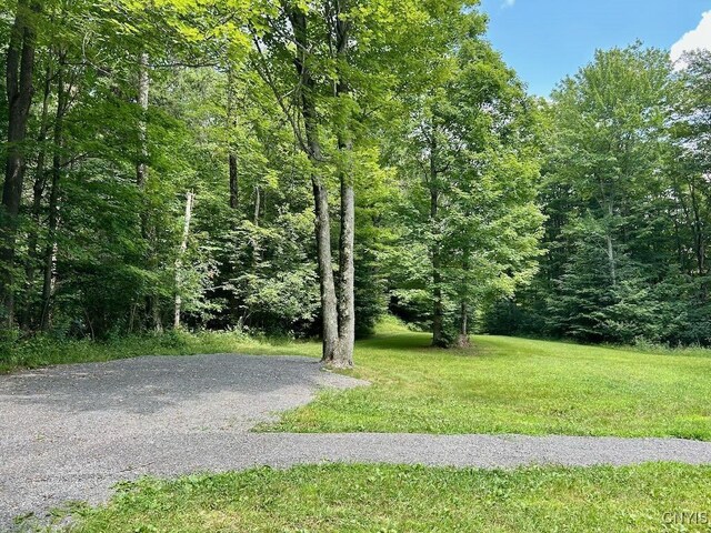 516 N Wart Rd, Boylston, NY 13083 - photo 13