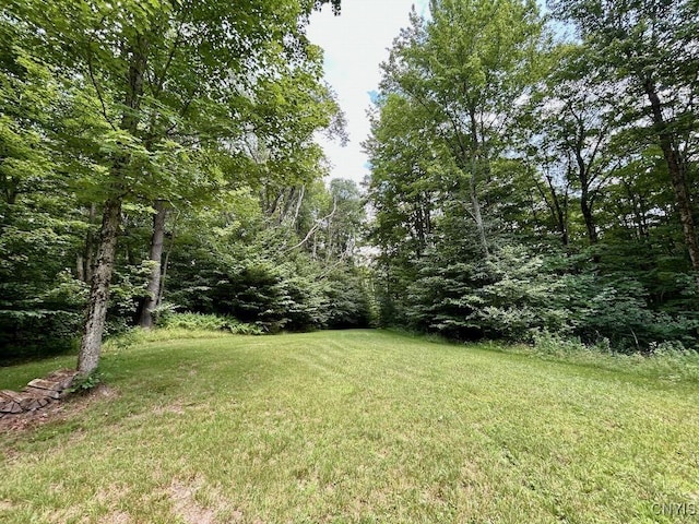 516 N Wart Rd, Boylston, NY 13083 - photo 15
