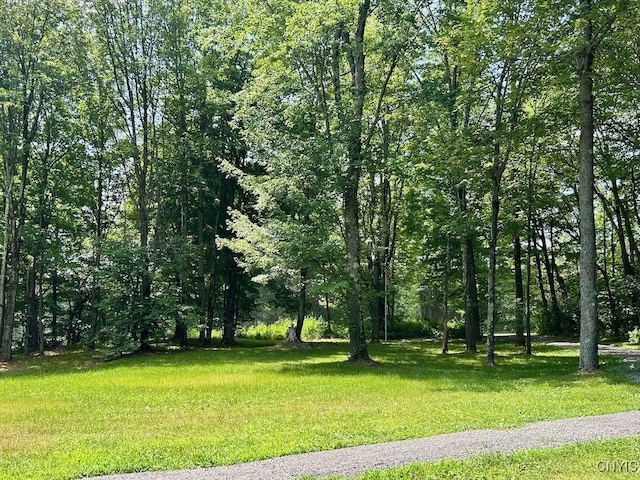 516 N Wart Rd, Boylston, NY 13083 - photo 17