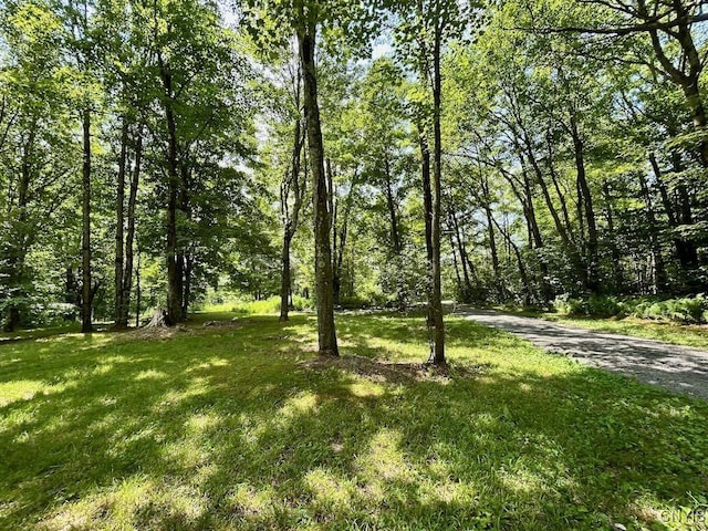 516 N Wart Rd, Boylston, NY 13083 - photo 11