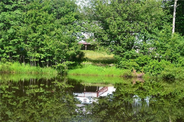 560 Spring Brook Estates Rd, Colchester, NY 12776 - photo 2