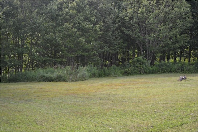 560 Spring Brook Estates Rd, Colchester, NY 12776 - photo 7