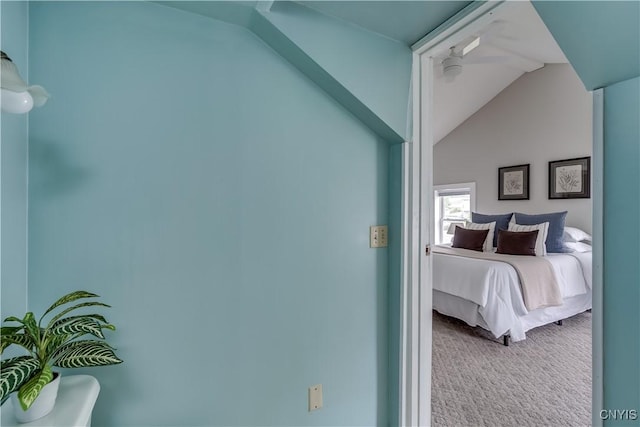 118 Warren St, Brownville, NY 13615 - photo 24