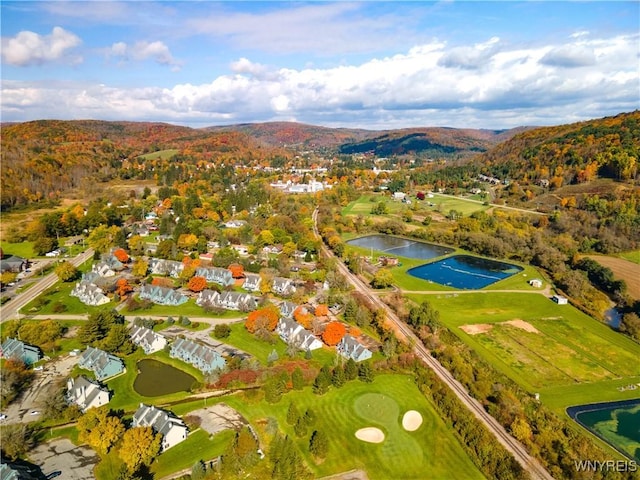 187 Wildflower, Ellicottville, NY 14731 - photo 23