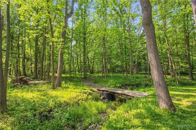 5478 Minor Rd, Warsaw, NY 14569 - photo 40