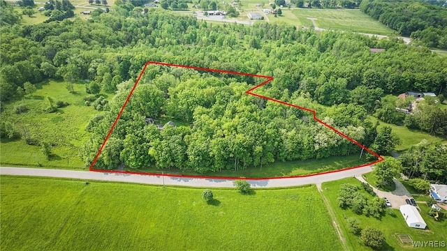 5478 Minor Rd, Warsaw, NY 14569 - photo 45