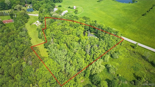5478 Minor Rd, Warsaw, NY 14569 - photo 46