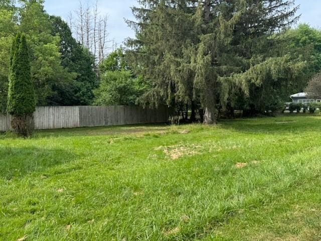 48 Pleasant St, Wellsville, NY 14895 - photo 23