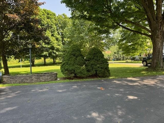 12 Maple St, Amity, NY 14813 - photo 25