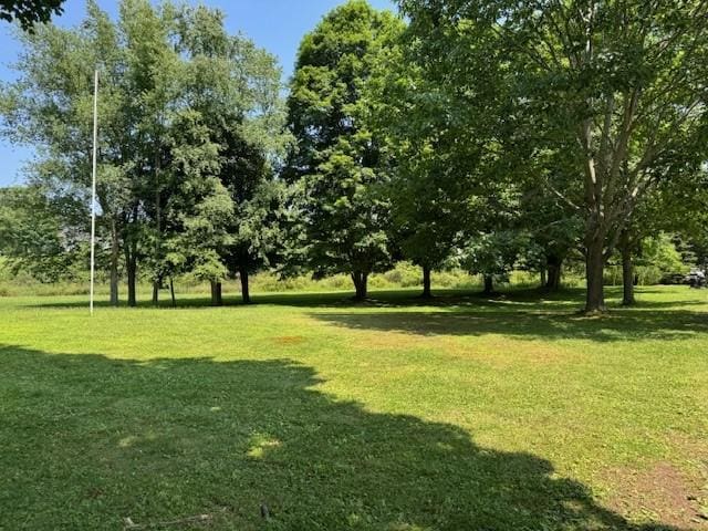 12 Maple St, Amity, NY 14813 - photo 29