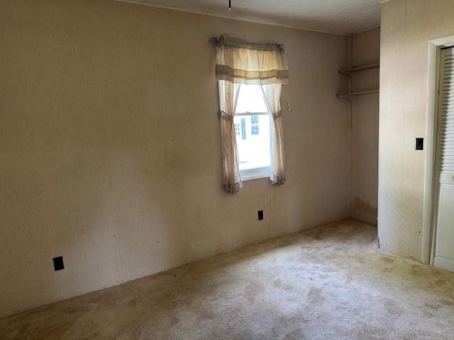 12 Maple St, Amity, NY 14813 - photo 11