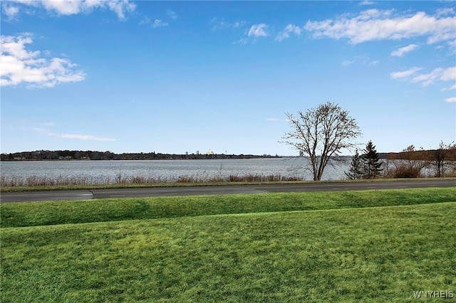 3703 W River Rd, Grand Island, NY 14072 - photo 3