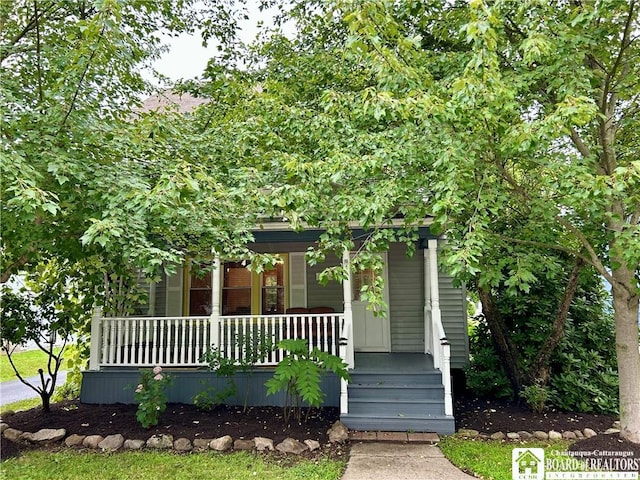 11 Maple St, Ellery, NY 14712 - photo 38
