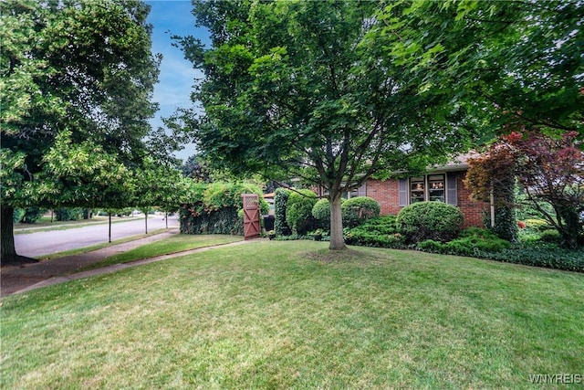 12 Henley Rd, Buffalo, NY 14216 - photo 4