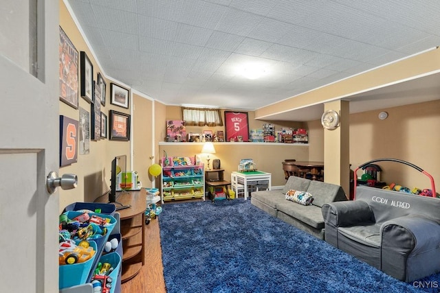 127 Wolcott Ter, Syracuse, NY 13207 - photo 29