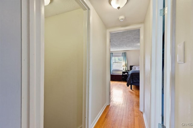 127 Wolcott Ter, Syracuse, NY 13207 - photo 22
