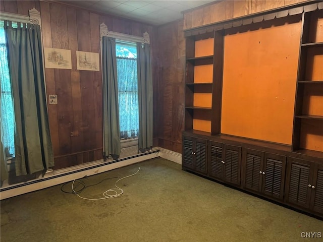 1041 Maple St, Genoa, NY 13071 - photo 18