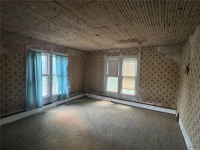 1041 Maple St, Genoa, NY 13071 - photo 28