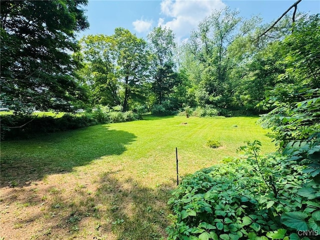 1041 Maple St, Genoa, NY 13071 - photo 5