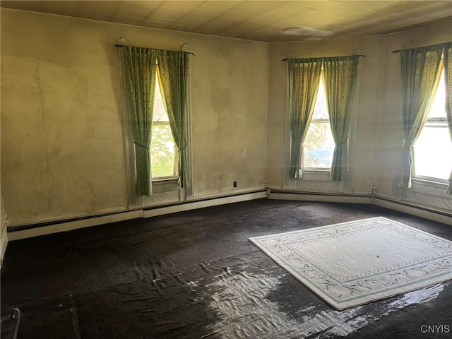 1041 Maple St, Genoa, NY 13071 - photo 8