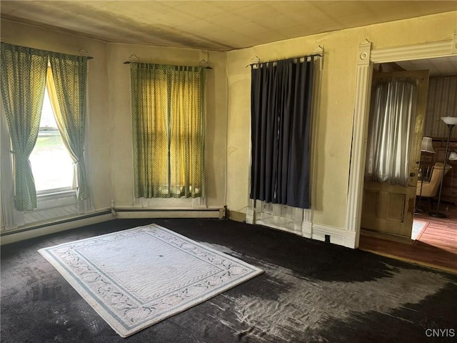 1041 Maple St, Genoa, NY 13071 - photo 10