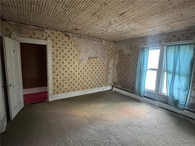 1041 Maple St, Genoa, NY 13071 - photo 29