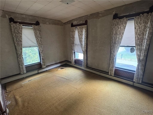 1041 Maple St, Genoa, NY 13071 - photo 30