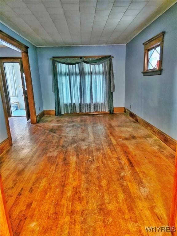 41 Victoria Ave, Buffalo, NY 14214 - photo 13