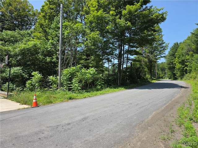 169 Honey Hill Rd, Roseboom, NY 13320 - photo 48