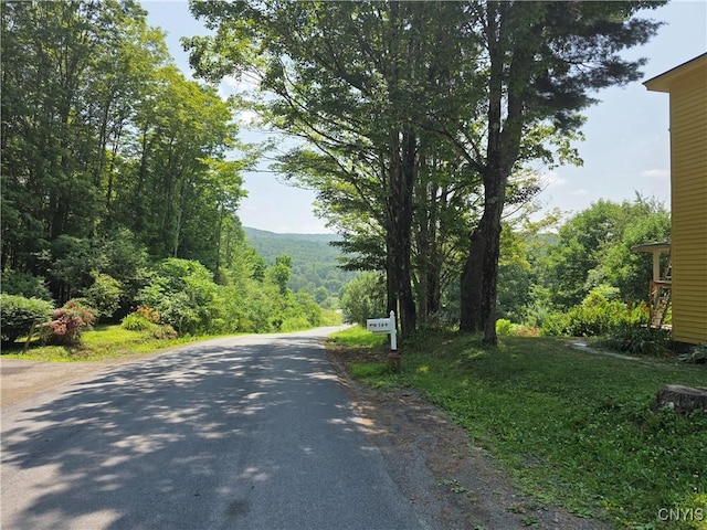 169 Honey Hill Rd, Roseboom, NY 13320 - photo 49
