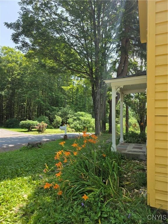 169 Honey Hill Rd, Roseboom, NY 13320 - photo 27