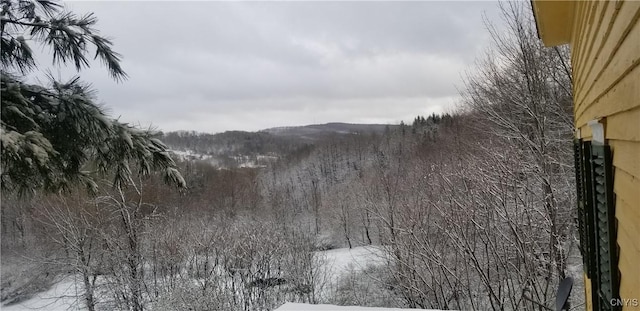 169 Honey Hill Rd, Roseboom, NY 13320 - photo 36