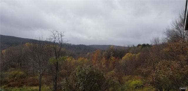 169 Honey Hill Rd, Roseboom, NY 13320 - photo 37