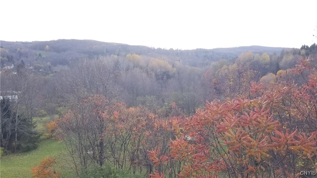 169 Honey Hill Rd, Roseboom, NY 13320 - photo 38