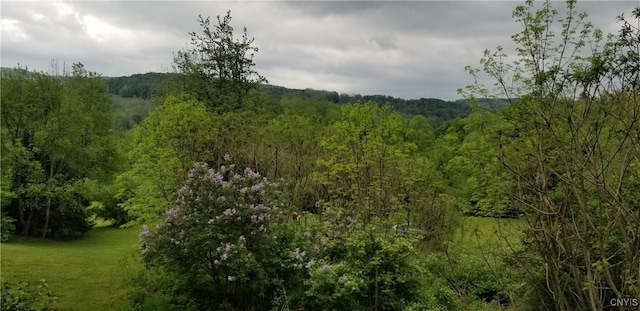 169 Honey Hill Rd, Roseboom, NY 13320 - photo 39