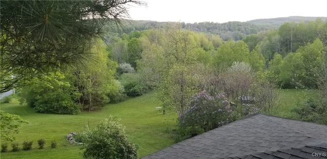 169 Honey Hill Rd, Roseboom, NY 13320 - photo 40